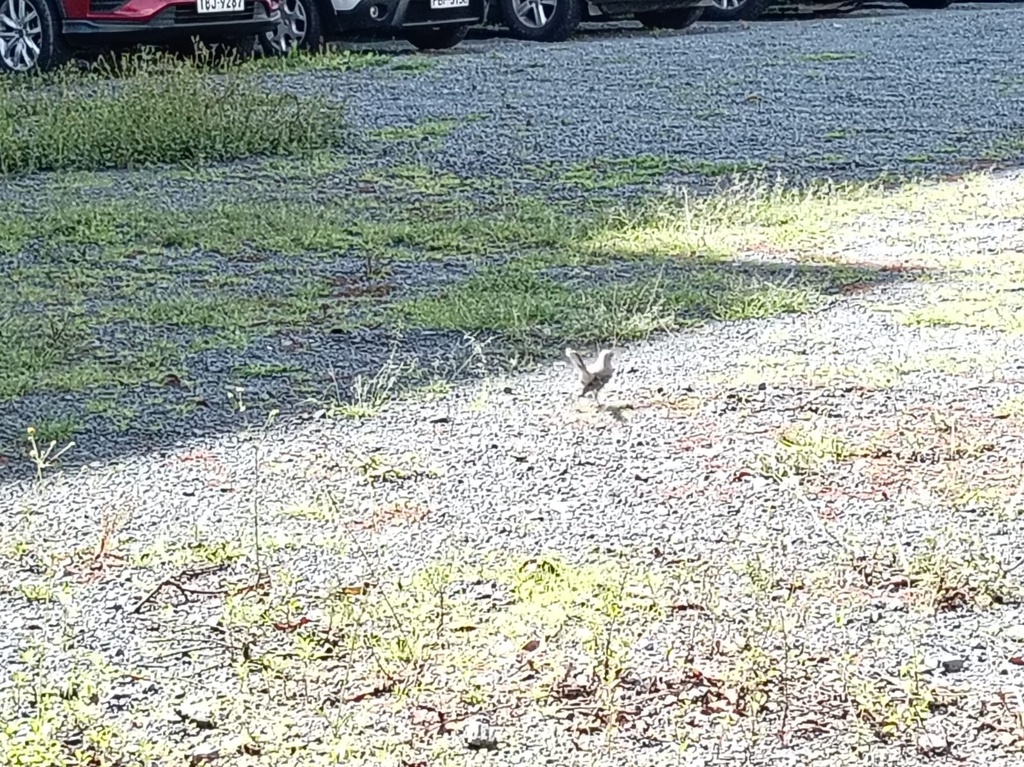 Terreno con Excelente Ubicación en Venta Sector Mariana de Jesús