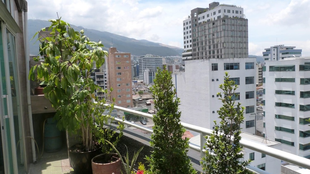  Suite con Hermosa Vista en Alquiler Sector La Carolina 