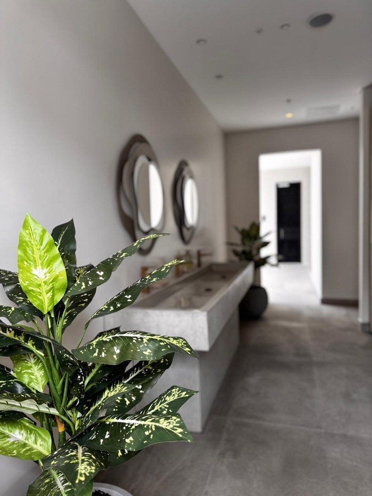 Suite Moderna en Alquiler Sector República del Salvador