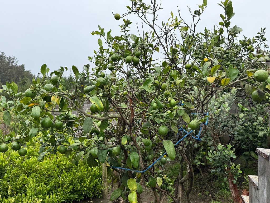 Casa con Piscina en Venta Sector Alangasí la Floresta de la Merced