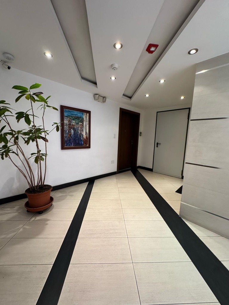 Suite Moderna República del Salvador