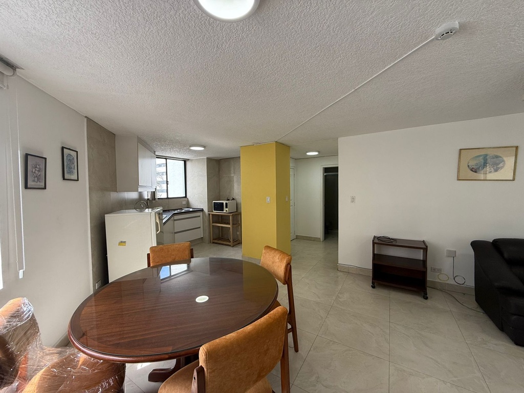 Suite en Renta Amoblada Sector Centro Norte 