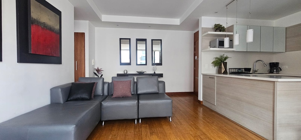 Suite con Hermosa Vista en Alquiler Sector La Carolina